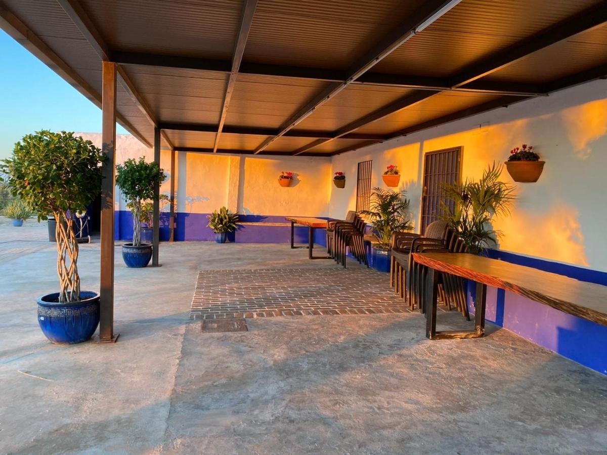 Willa La Casa Del Olivo Écija Zewnętrze zdjęcie